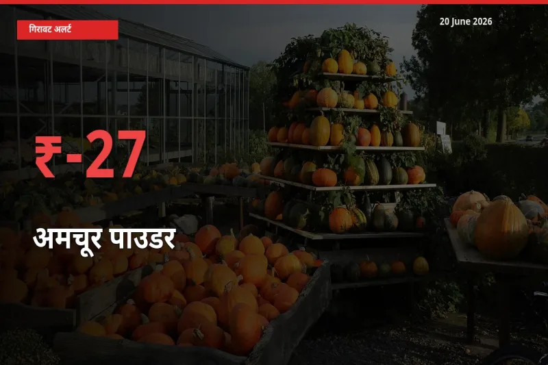 आज का मंडी भाव: अमचूर पाउडर के दाम मंडी में 27.38% नीचे