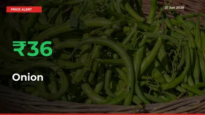 Sharp Jump! Onion Prices Climb 36.34% in 24 Hours at Key Mandis