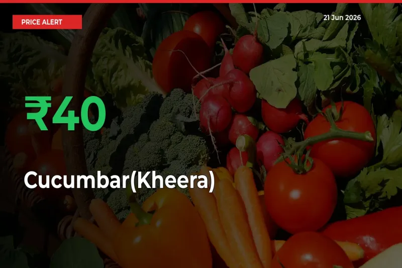 Cucumbar(Kheera) Rises 40.49% at Mandis