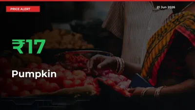 16.59% Spike in Pumpkin Prices – Mandi Sees Sudden Rally