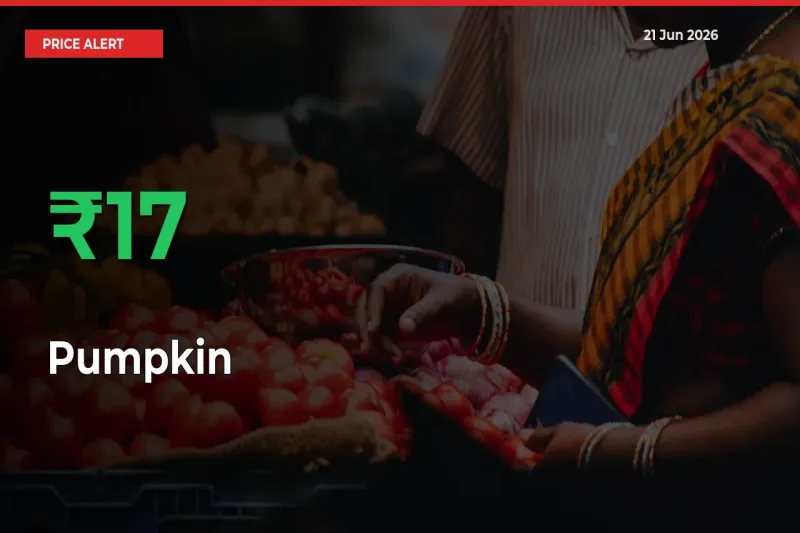 16.59% Spike in Pumpkin Prices – Mandi Sees Sudden Rally