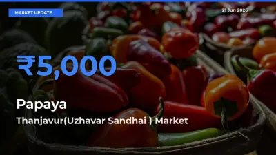 Thanjavur(Uzhavar Sandhai ) Tops Papaya Rates – June 21 Market Update
