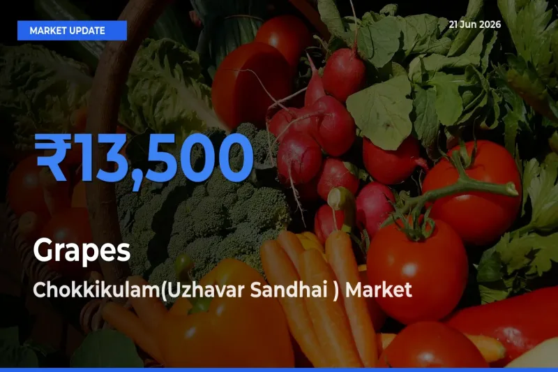 Chokkikulam(Uzhavar Sandhai ) Records Highest ₹13,500 Rate for Grapes