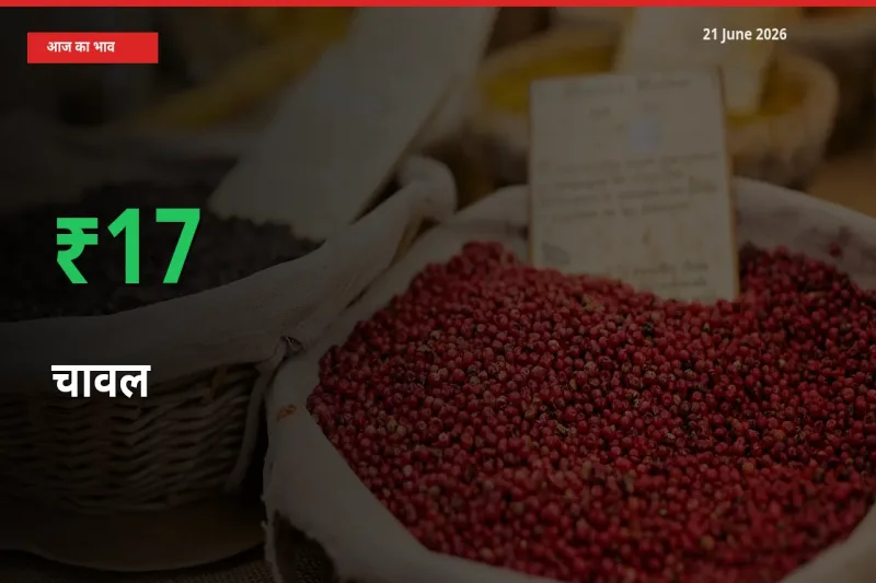 तेज़ तेजी! मंडी में चावल के दाम 16.73% चढ़े