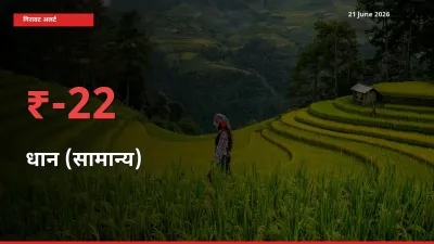 धान (सामान्य) के दाम प्रमुख मंडी में 21.84% गिरे, 24 घंटे में बड़ा बदलाव