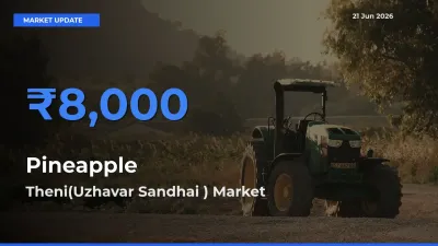 Theni(Uzhavar Sandhai ) Leads as Top Mandi for Pineapple Prices