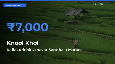 Kallakurichi(Uzhavar Sandhai ) Leads as Top Mandi for Knool Khol Prices