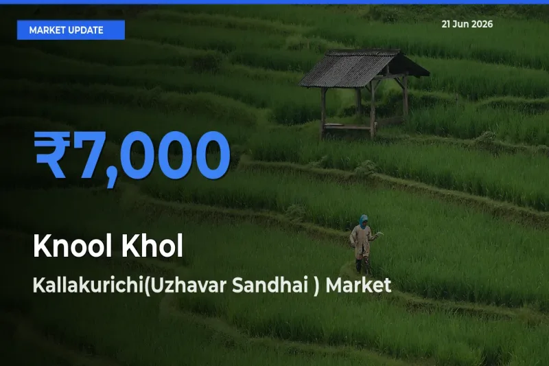 Kallakurichi(Uzhavar Sandhai ) Leads as Top Mandi for Knool Khol Prices