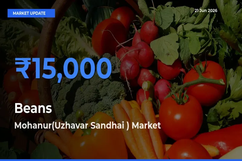 Mohanur(Uzhavar Sandhai ) Emerges as Top Mandi for Beans Prices Today