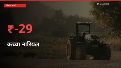 21 June अपडेट: कच्चा नारियल के दाम मंडी में 29.16% गिरे
