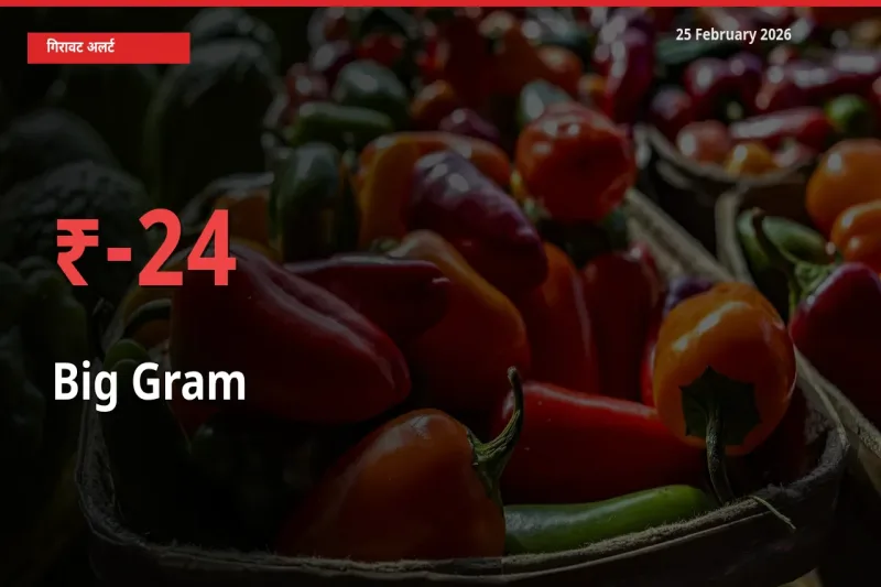 24.07% की गिरावट! मंडी में Big Gram के दाम अचानक टूटे