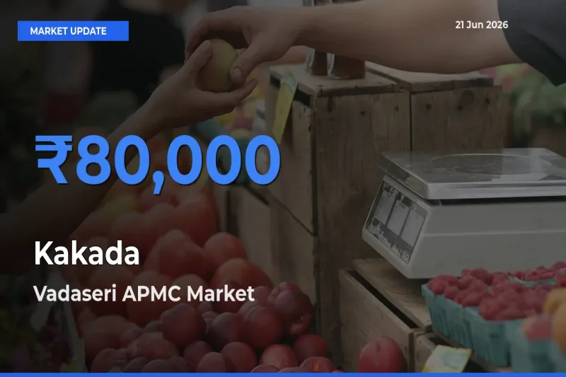 Top Performer! Vadaseri APMC Offers Best Kakada Price Today