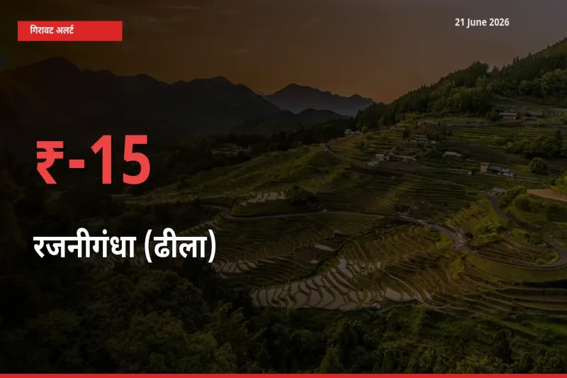 15.01% की गिरावट! मंडी में रजनीगंधा (ढीला) के दाम अचानक टूटे