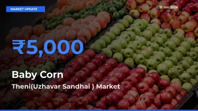 Theni(Uzhavar Sandhai ) Records Highest ₹5,000 Rate for Baby Corn