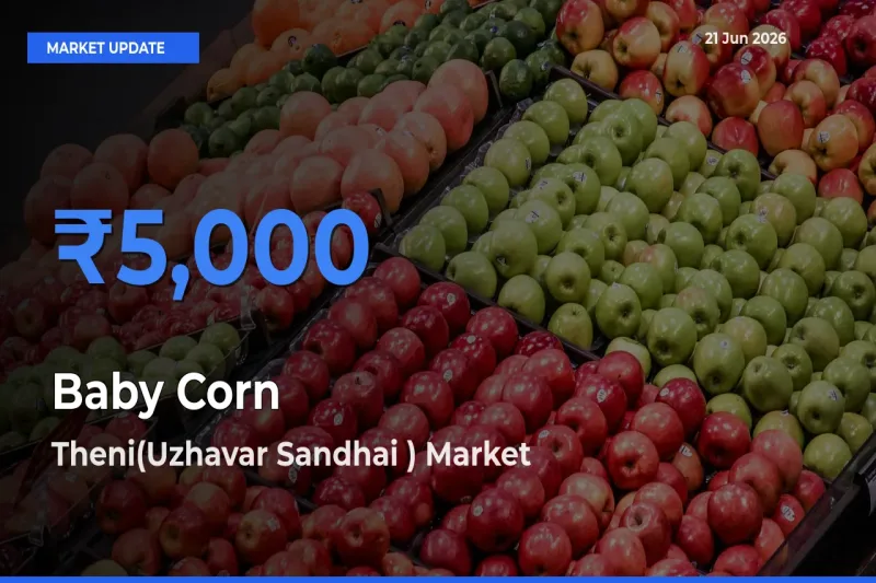 Theni(Uzhavar Sandhai ) Records Highest ₹5,000 Rate for Baby Corn