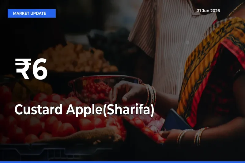 Custard Apple(Sharifa) Mandi Prices Move in Sync Across Major Markets Today