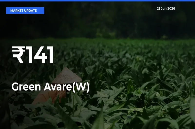 Green Avare(W) Prices Trend Across 141+ Mandis – Market Direction Turns Clear