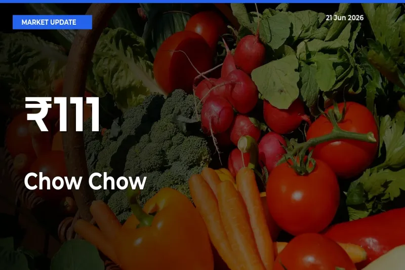 Chow Chow Mandi Prices Move in Sync Across Major Markets Today
