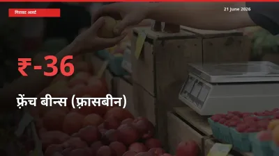 तेज़ गिरावट! मंडी में फ़्रेंच बीन्स (फ़्रासबीन) के दाम 36.31% लुढ़के