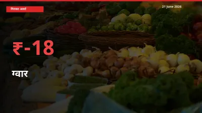 ग्वार 18.1% गिरा, मंडी