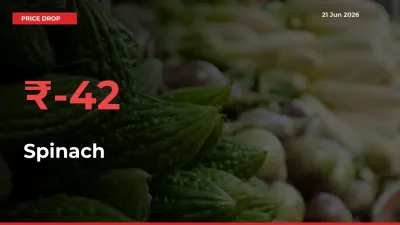 Spinach Prices Drop 41.72% – June 21 Market Update from Mandis
