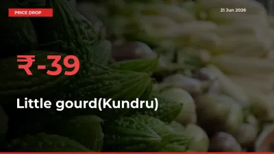 Little gourd(Kundru) Prices Drop 38.93% in 24 Hours at Major Mandis