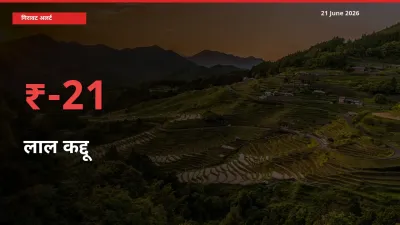 बाज़ार संकेत: लाल कद्दू के भाव मंडी में 21.05% नीचे