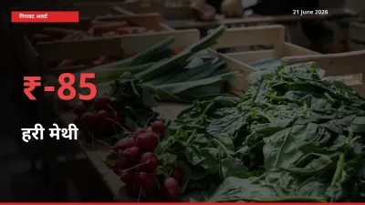 स्थानीय मंडी में हरी मेथी के दाम अचानक 84.56% गिरे, किसानों की चिंता बढ़ी