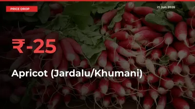 Why Apricot (Jardalu/Khumani) Prices Fell 25.48% in a Day at Mandis