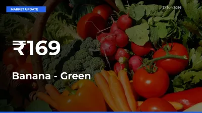 Banana - Green Rates Show Broad Movement Across 169+ Mandis