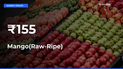 Mango(Raw-Ripe) Mandi Trend Today: Prices Shift Across Multiple Markets