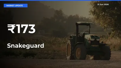 Strong Trend in Snakeguard Rates Across Multiple Mandis – What It Means for Traders