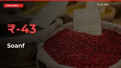 Sharp Fall! Soanf Prices Plunge 42.66% in a Day at Key Mandis