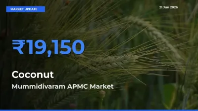 Mummidivaram APMC Records Highest ₹19,150 Rate for Coconut