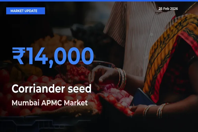 Mumbai APMC Records Highest ₹14,000 Rate for Corriander seed