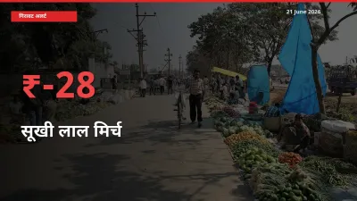 सूखी लाल मिर्च के दाम प्रमुख मंडी में 28.28% गिरे, 24 घंटे में बड़ा बदलाव