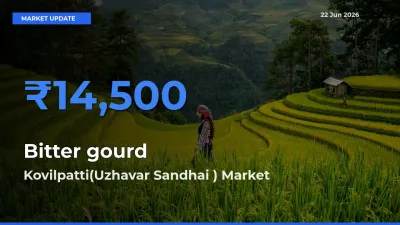 Kovilpatti(Uzhavar Sandhai ) Emerges as Top Mandi for Bitter gourd Prices Today