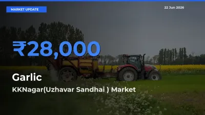 KKNagar(Uzhavar Sandhai ) Leads as Top Mandi for Garlic Prices