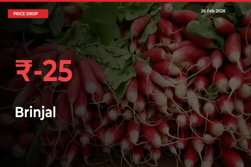 24.89% Drop in Brinjal Prices – Mandi Sees Sudden Fall