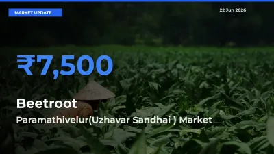 Paramathivelur(Uzhavar Sandhai ) Emerges as Top Mandi for Beetroot Prices Today