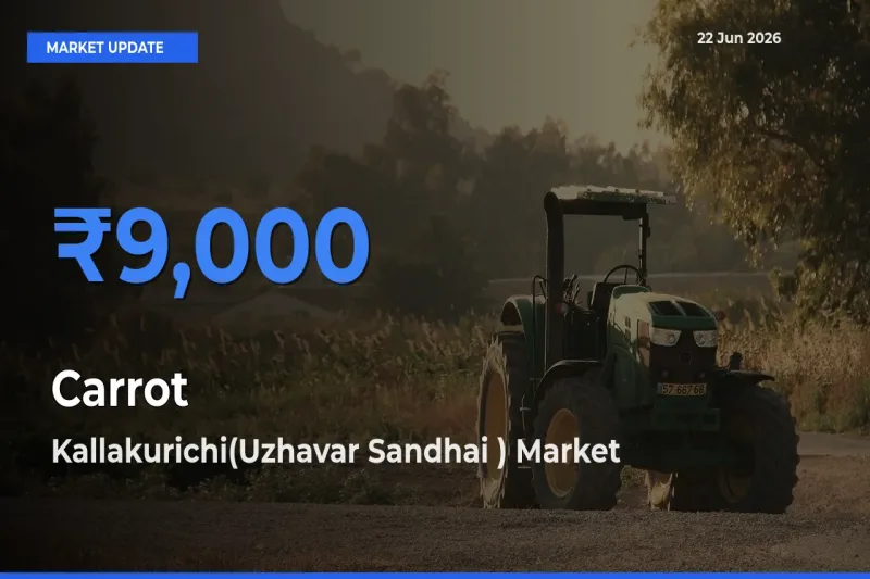 Kallakurichi(Uzhavar Sandhai ) Records Highest ₹9,000 Rate for Carrot