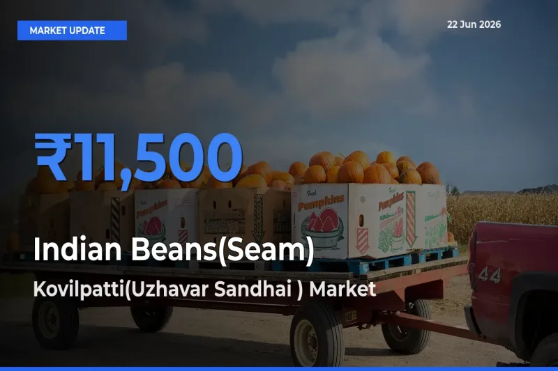 Kovilpatti(Uzhavar Sandhai ) Leads as Top Mandi for Indian Beans(Seam) Prices