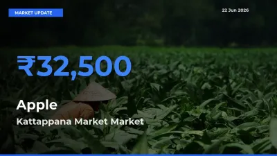 Kattappana Market Tops Apple Rates – June 22 Market Update