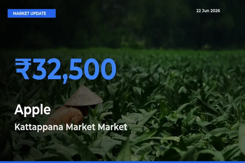 Kattappana Market Tops Apple Rates – June 22 Market Update
