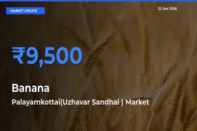 Palayamkottai(Uzhavar Sandhai ) Leads as Top Mandi for Banana Prices
