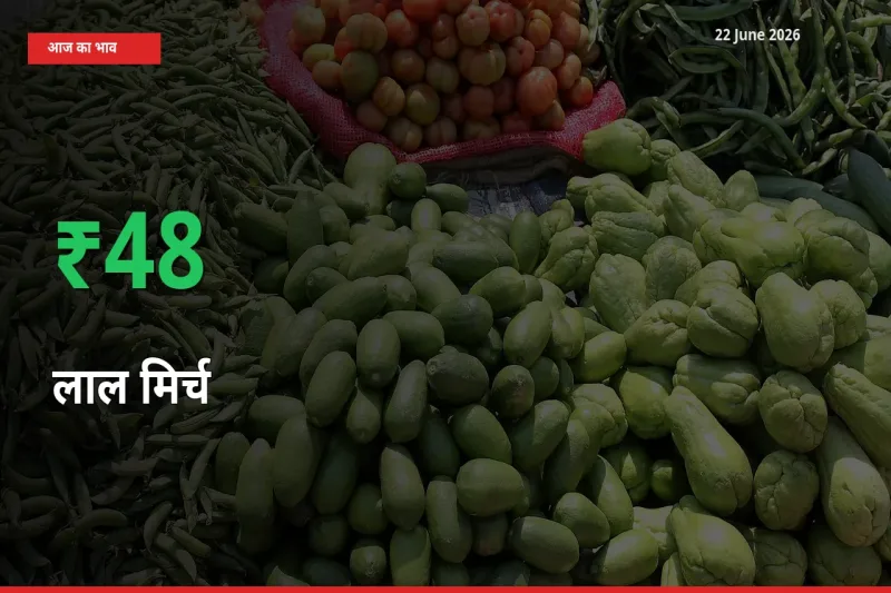 बाज़ार संकेत: लाल मिर्च के भाव मंडी में 48.02% ऊपर