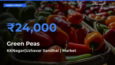 KKNagar(Uzhavar Sandhai ) Leads as Top Mandi for Green Peas Prices