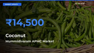 Mummidivaram APMC Records Highest ₹14,500 Rate for Coconut