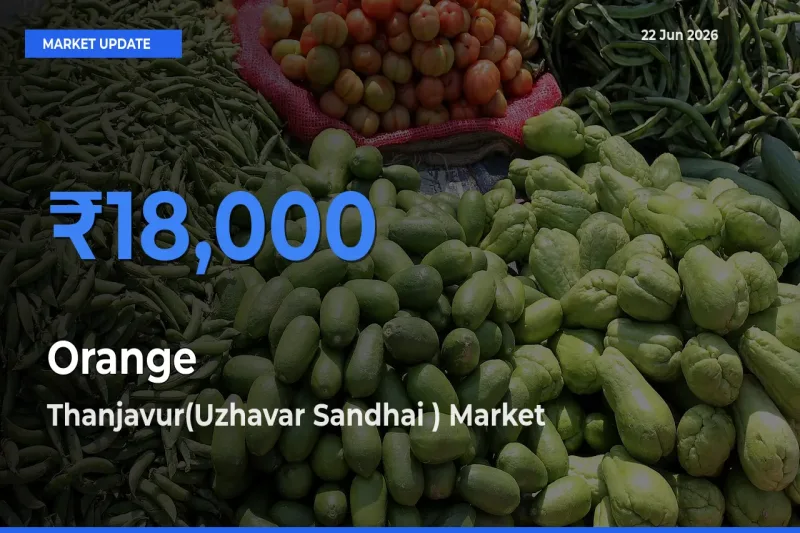 Thanjavur(Uzhavar Sandhai ) Emerges as Top Mandi for Orange Prices Today