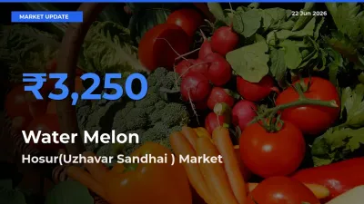 Hosur(Uzhavar Sandhai ) Records Highest ₹3,250 Rate for Water Melon